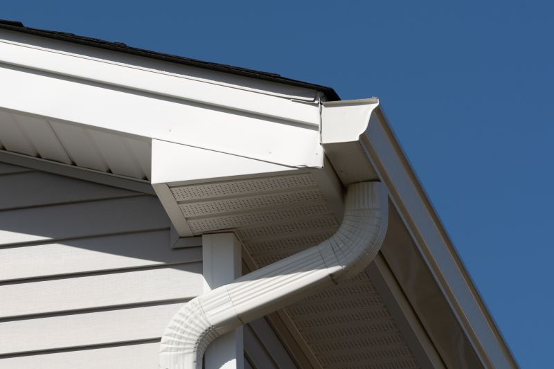 Fascia Replacement in Olathe, KS