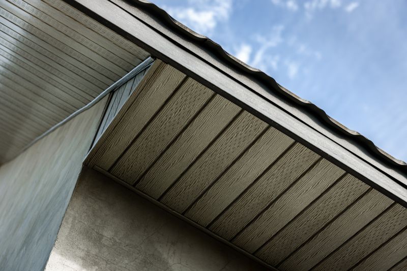 Garage Fascia Repair in Olathe, KS