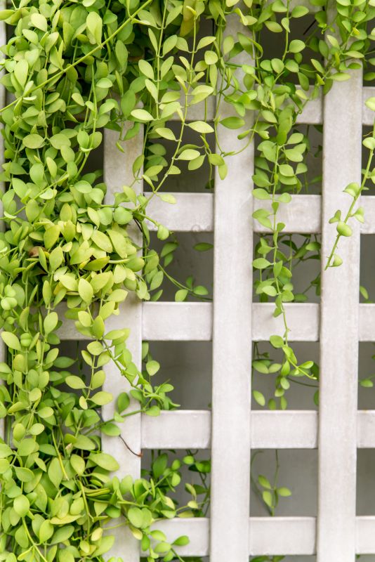 Lattice Support Structures